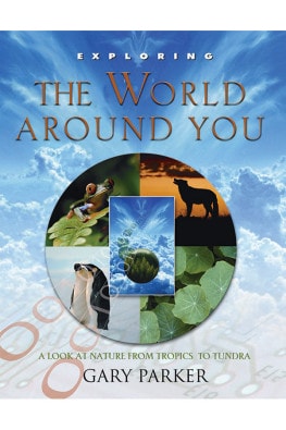 The World Around You