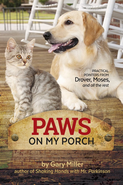 Paws on My Porch