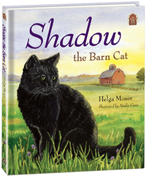 Shadow the Barn Cat