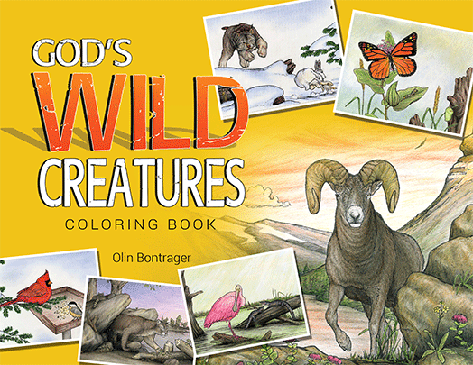 God's Wild Creatures Coloring Book