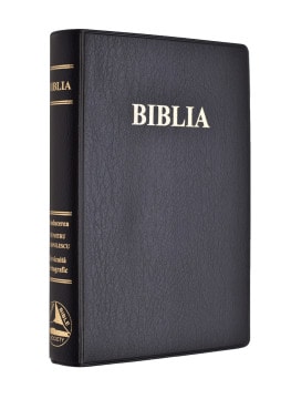 Romanian Bible 1012