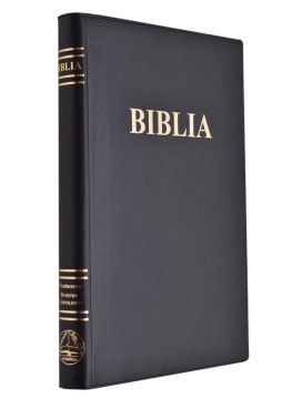 Romainian Bible 1018