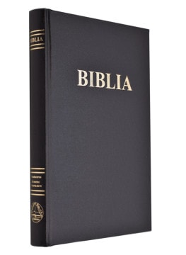 Romainian Bible 1019