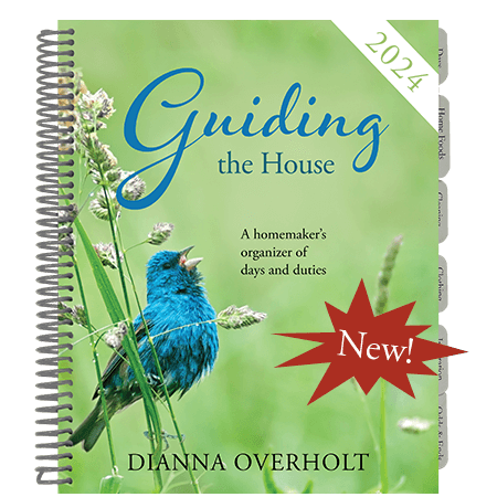 Guiding the House Planner 2024
